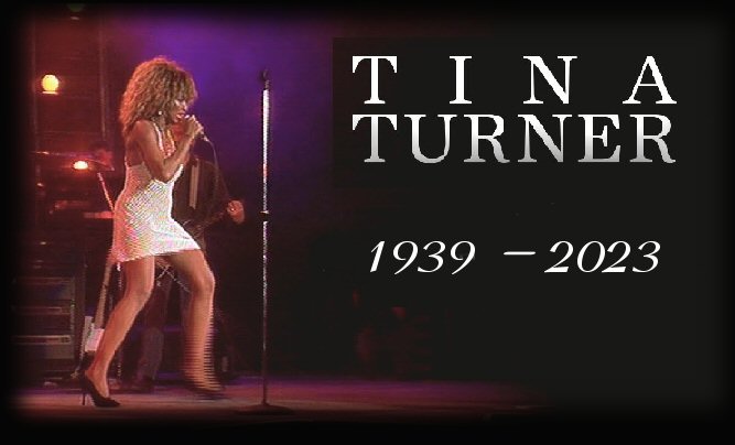 Tina Turner Whats Love Got To Do With It 9812